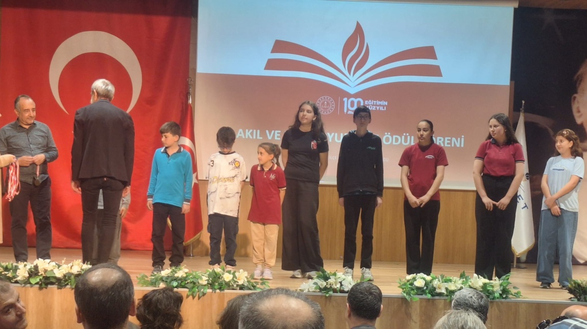 Zeka Oyunları Yarışması